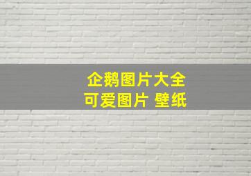 企鹅图片大全可爱图片 壁纸